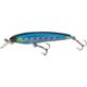 Holographic Sardine