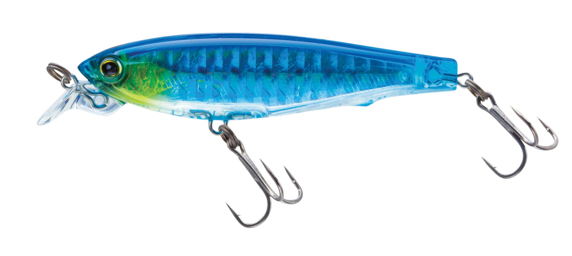 Holographic Sardine
