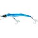 Blue Mackerel