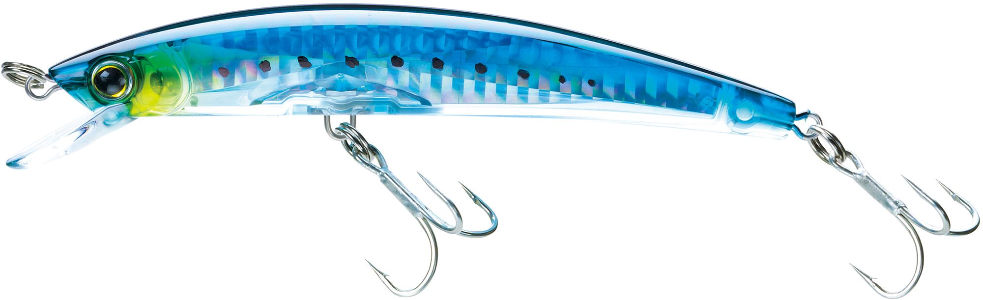 Sardine