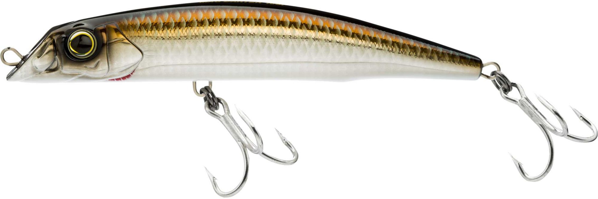 Bronze Shiner