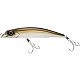 Bronze Shiner