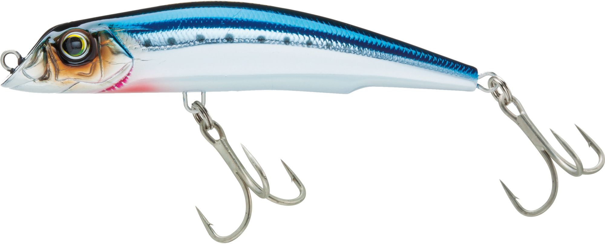 Chrome Sardine