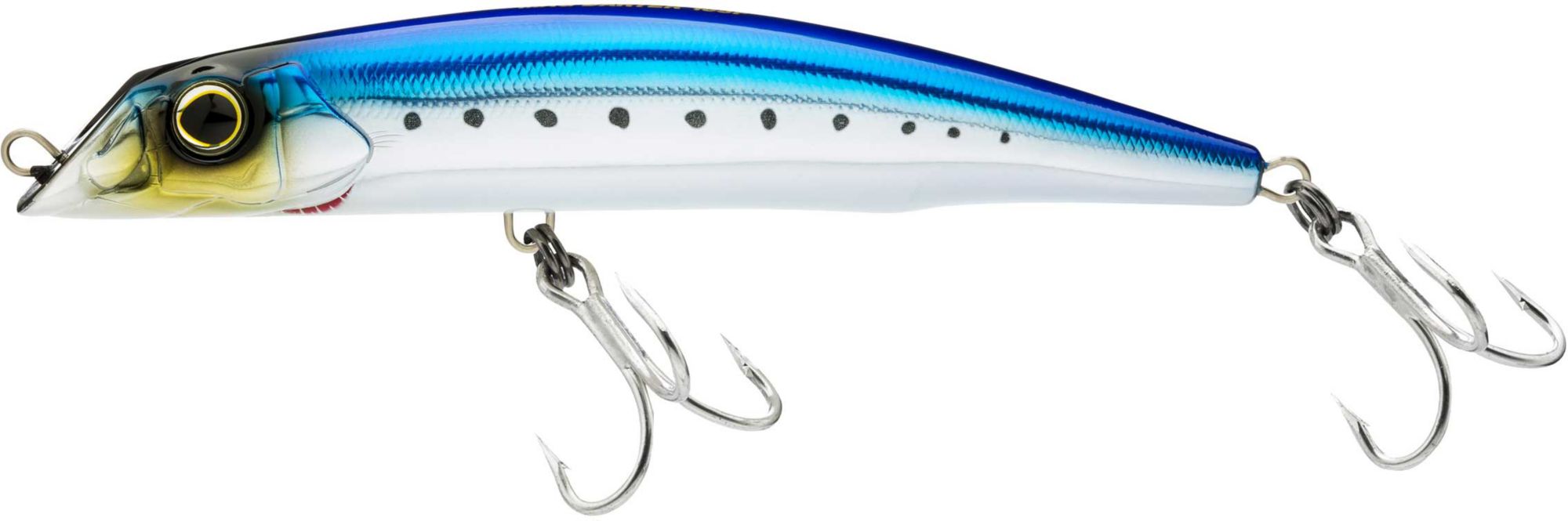 Sardine