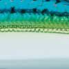 Green Mackerel