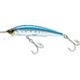 Sardine