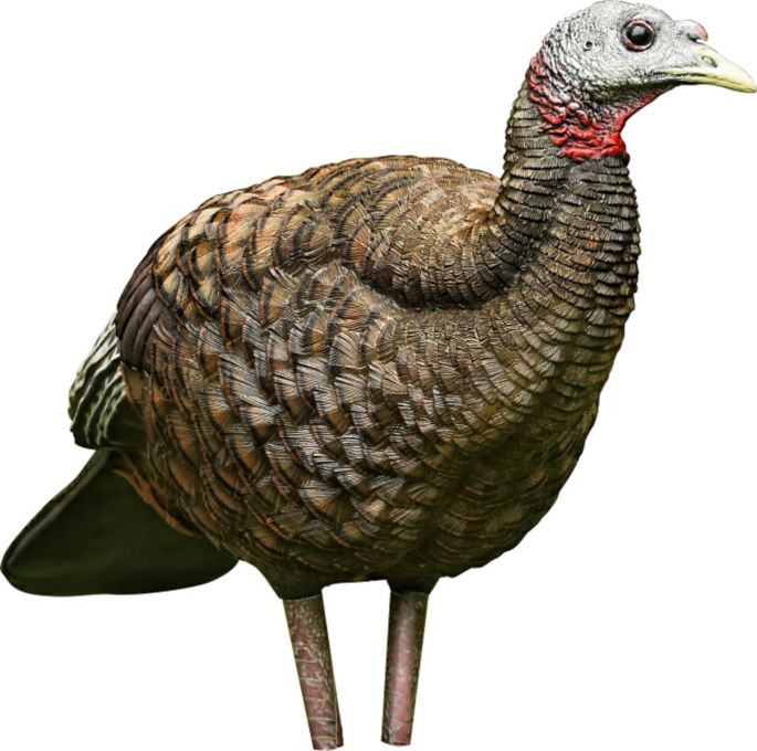 Avian X Lcd Hen Breeder Turkey Decoy Dick S Sporting Goods