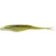 Baby Bass
