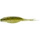 Baby Bass
