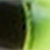 Black/Chartreuse