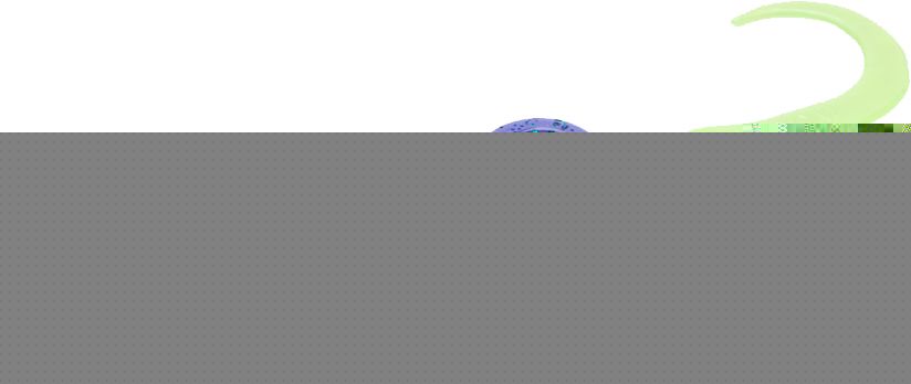 Zoom Bait Super Salt Plus Lizard Soft Bait