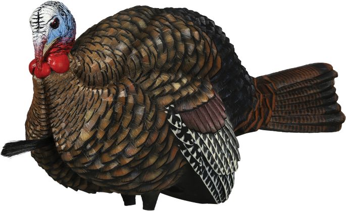 Avian X Lcd Half Strut Jake Turkey Decoy Dick S Sporting Goods