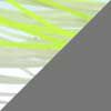 Chartreuse/White