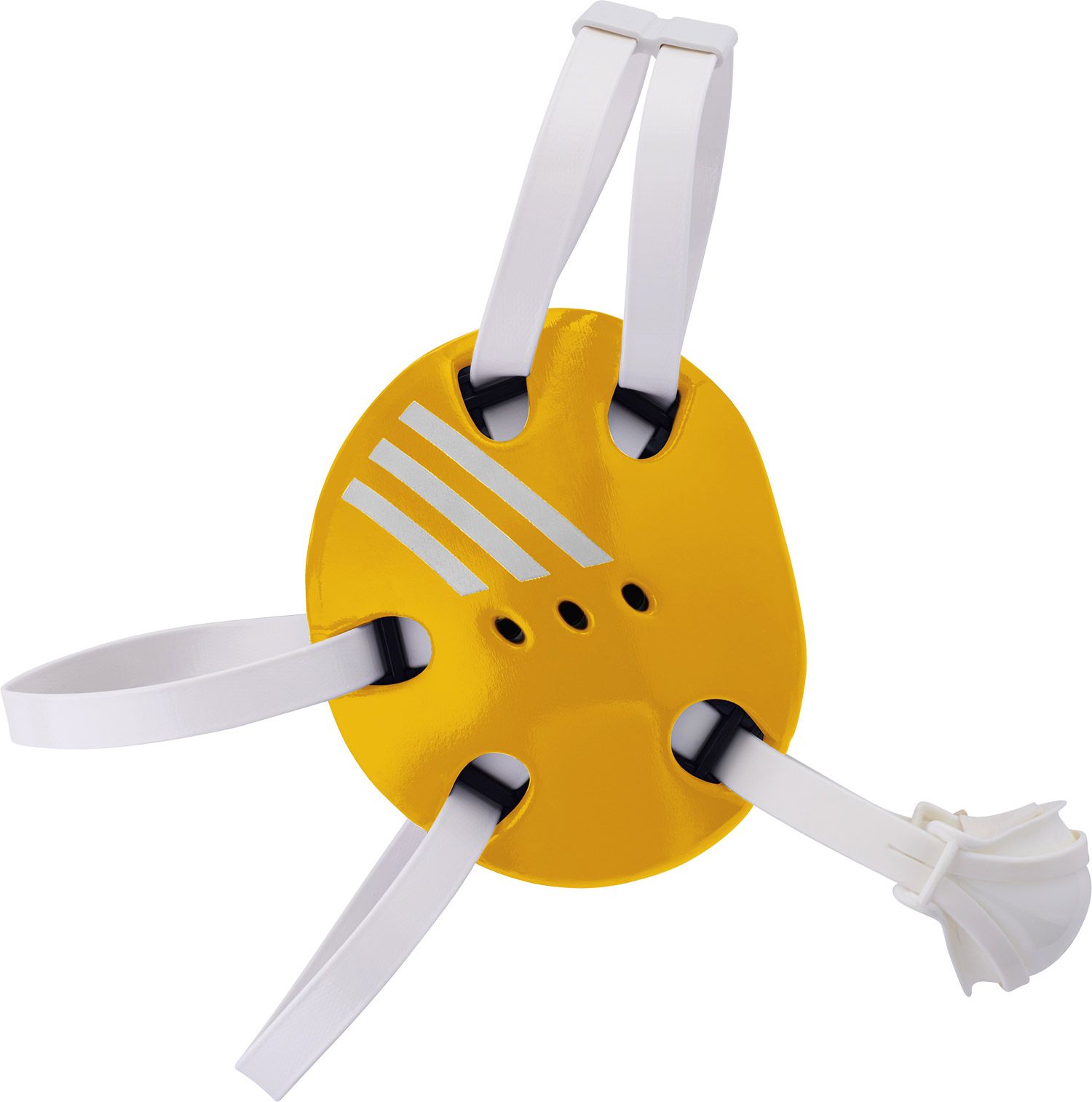 Wrestling Equipment