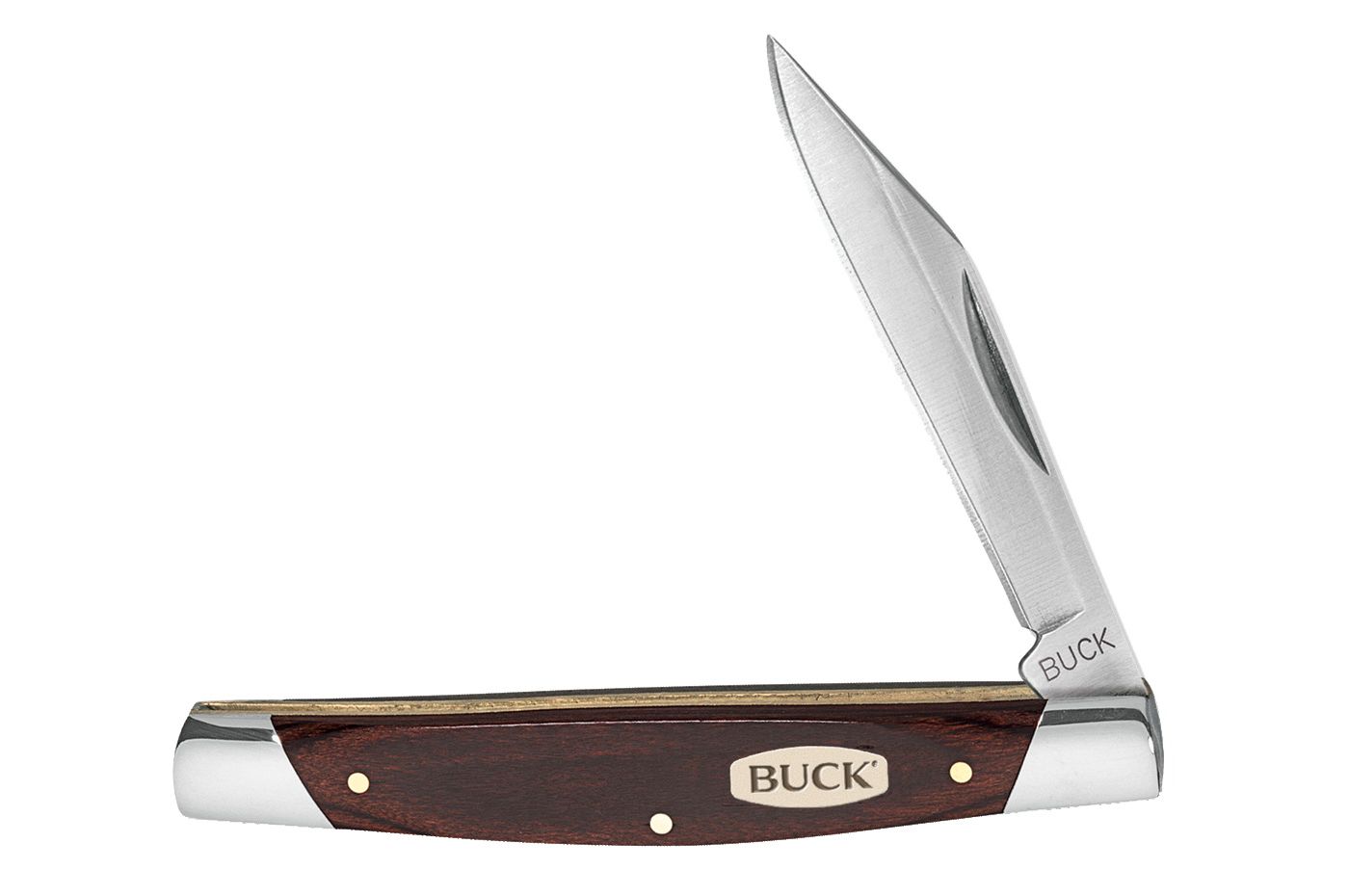 Buck Knives 379 Solo Knife DICK'S Sporting Goods