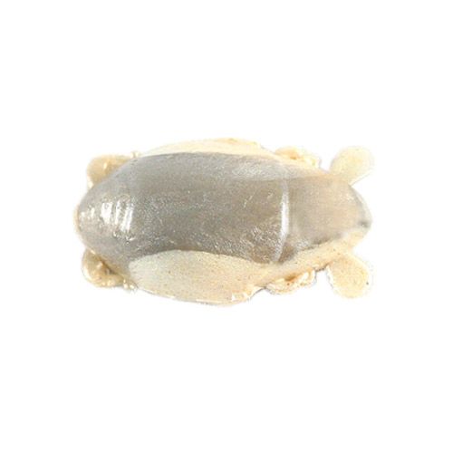 Berkley Gulp! 1'' Crab Flea Soft Bait, Natural Flea