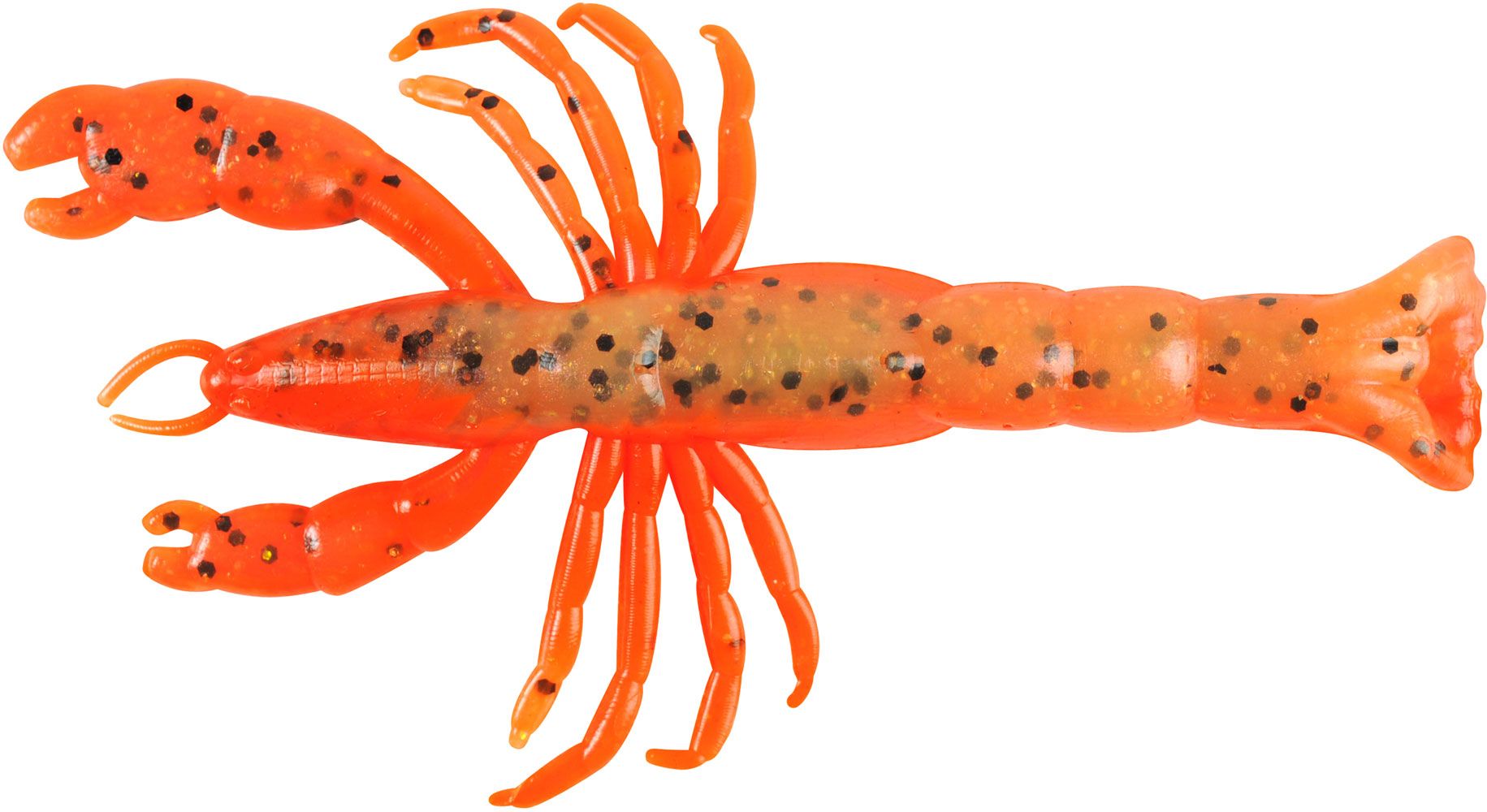Orange Belly Shrimp