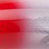 Silver/Red Head