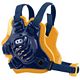 Navy/Gold
