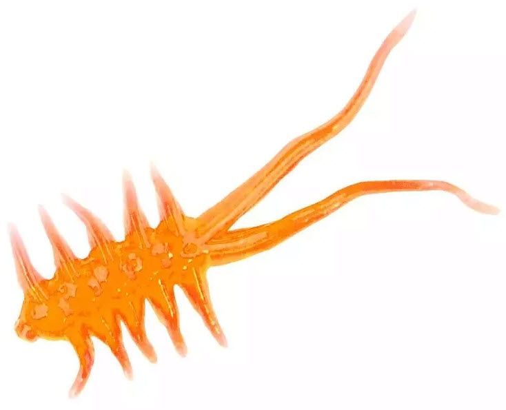 Blaze Orange