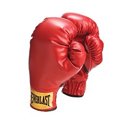 Everlast Youth Boxing Gloves