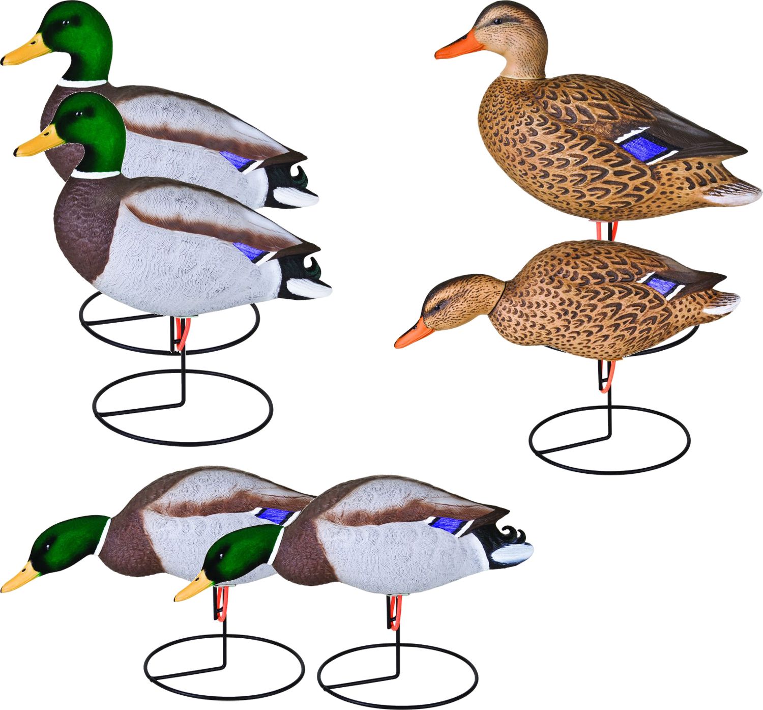 Duck Decoys Best Price Guarantee at DICK'S