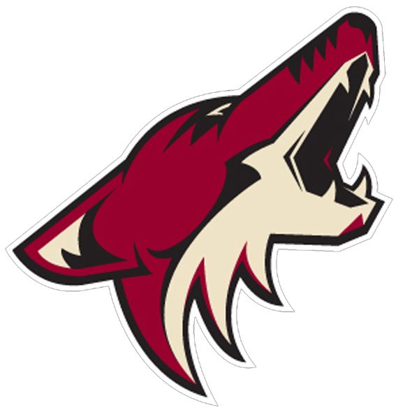 Arizona Coyotes