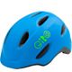 Matte Blue/Lime