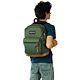 Cargo Green