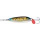 Blue Mackerel