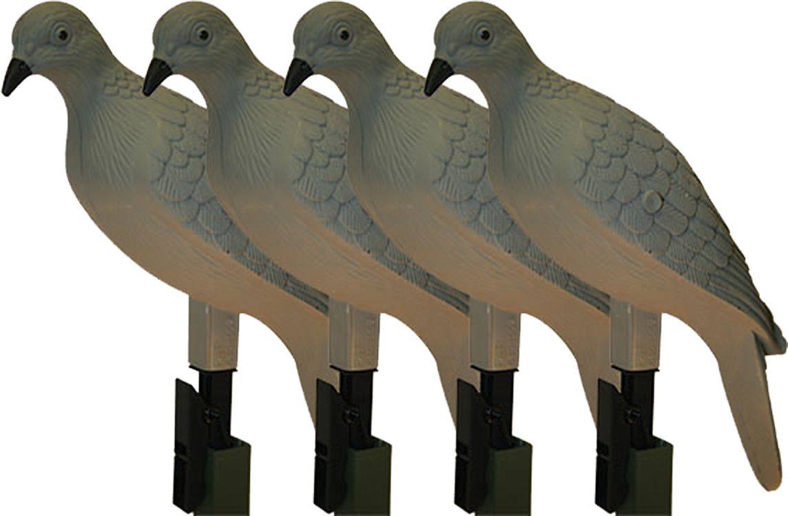 dove decoys