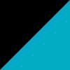 Black/Aqua