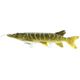 Pike