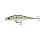 Yellow Perch