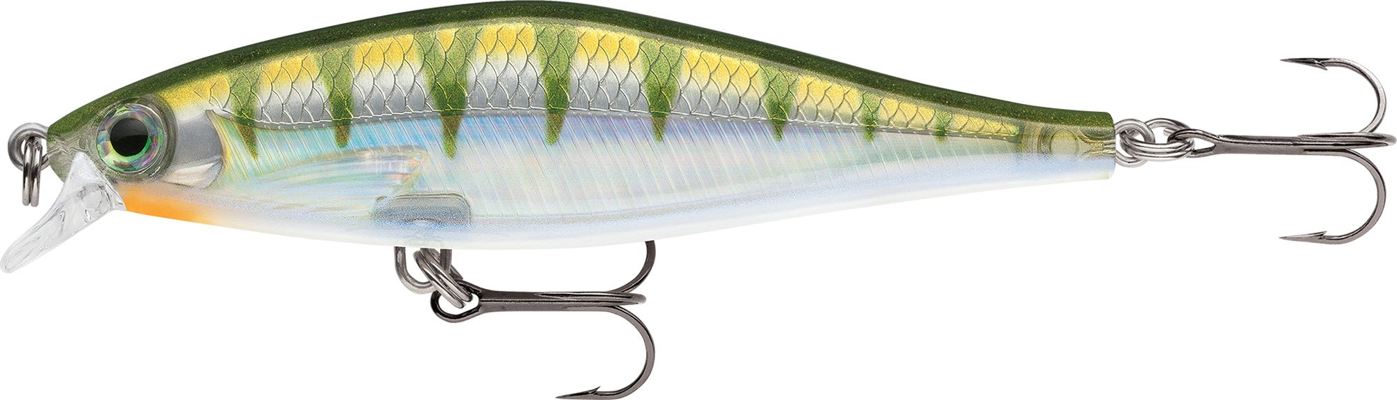 Yellow Perch