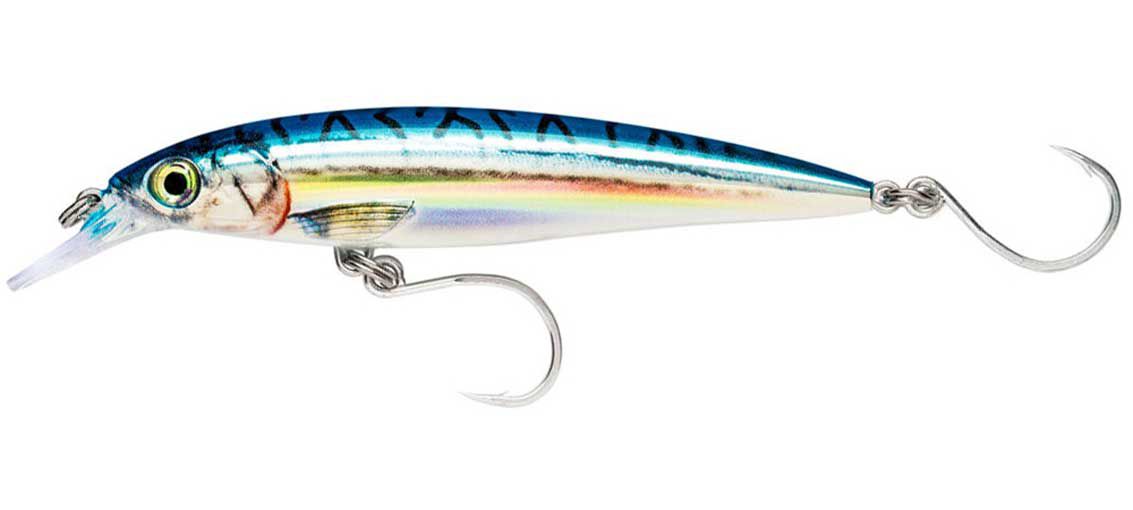 Blue Mackerel