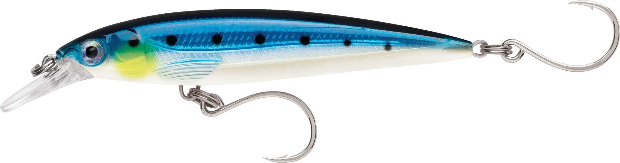Blue Sardine