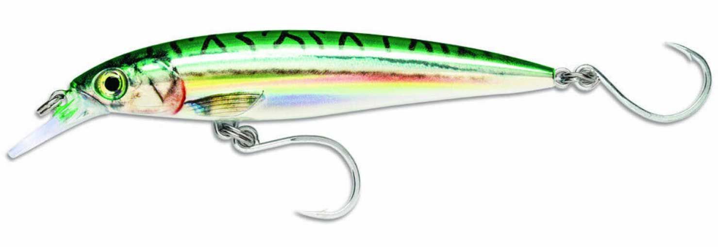 Green Mackerel
