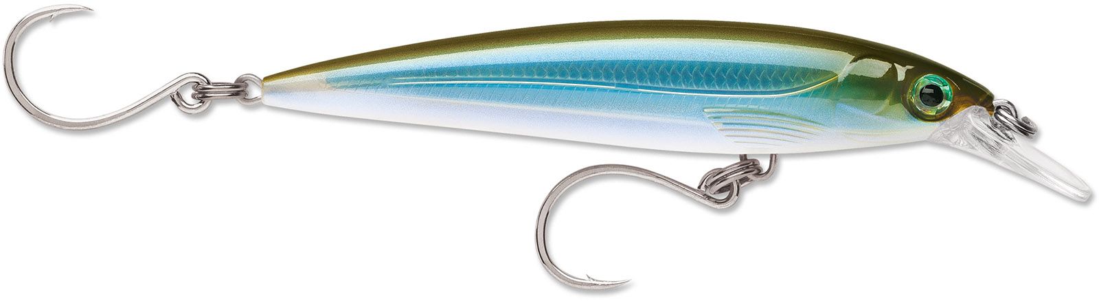 Moss Back Shiner