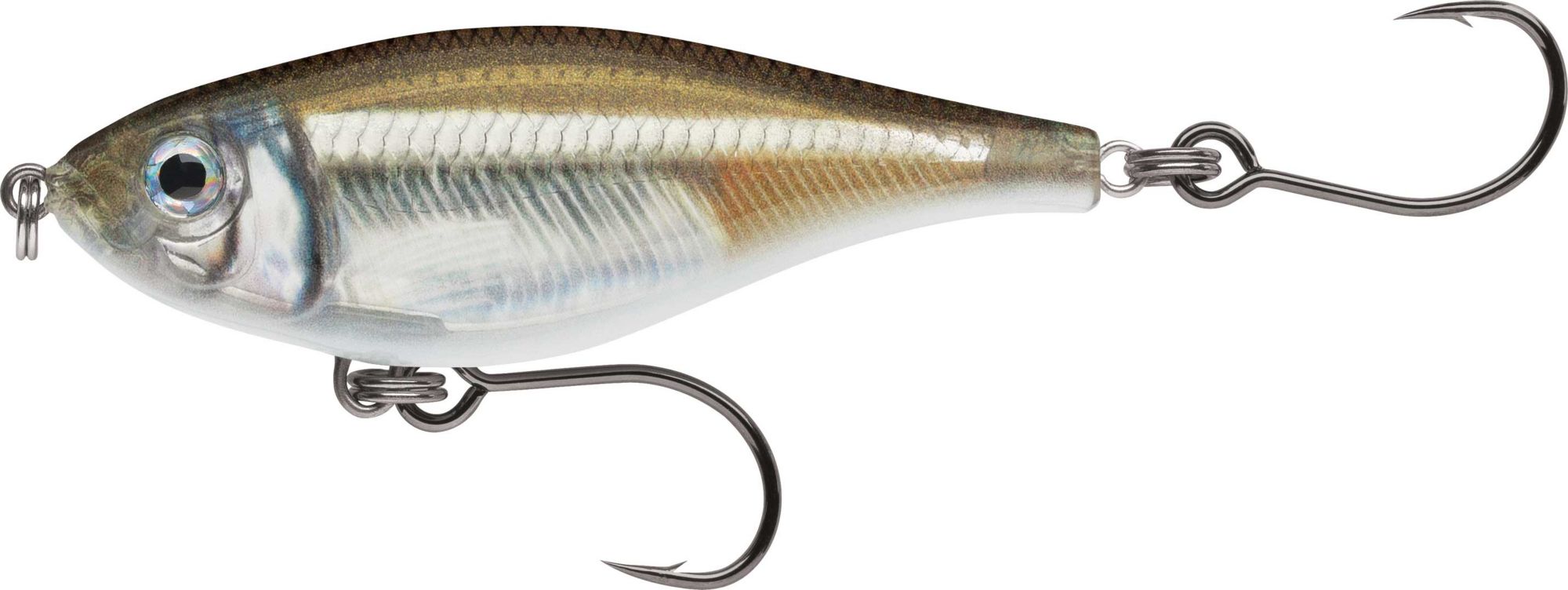 Mangrove Minnow
