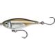 Mangrove Minnow