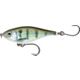 Pinfish