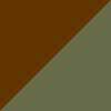Tortoise/Green