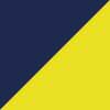 Navy/Gold