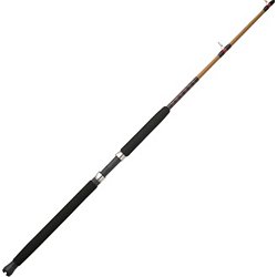 PENN Rival Level Wind/Ugly Stik Bigwater Conventional Combo