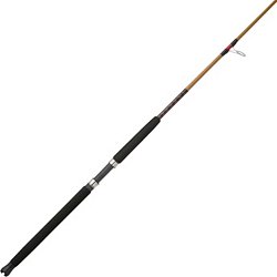 Offshore Fishing Rods  DICK's Sporting Goods