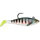 Bluegill