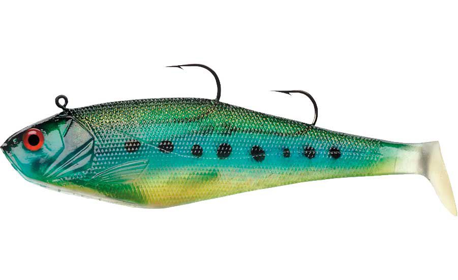 Sardine