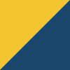Navy/Gold