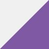 Purple 6